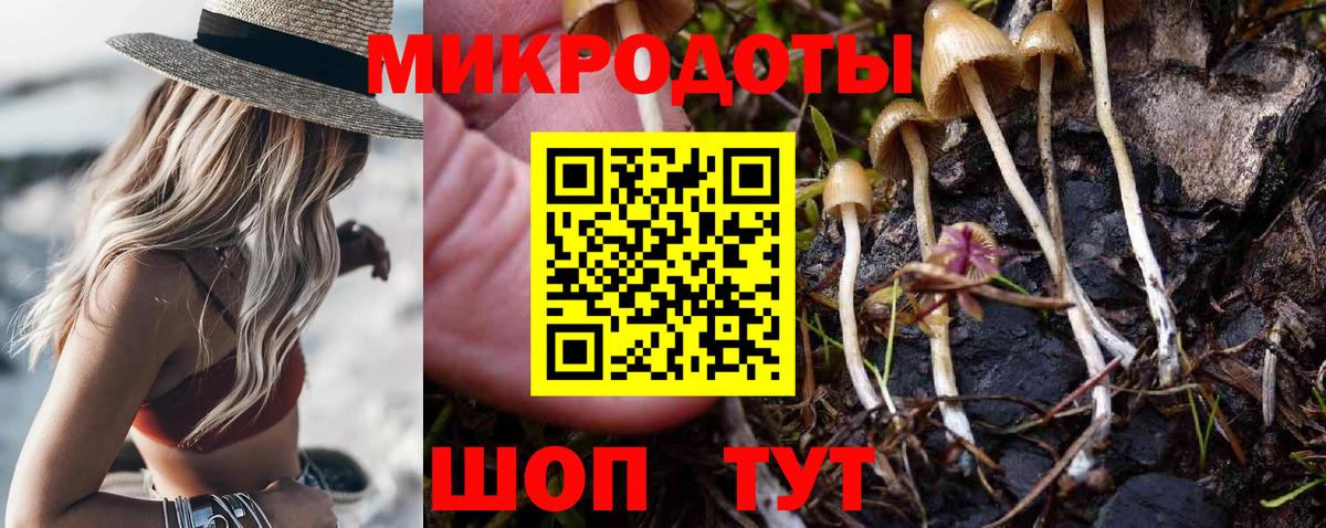 Псилоцибиновые грибы мицелий Тайшет